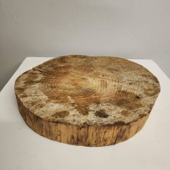 Wooden Disk